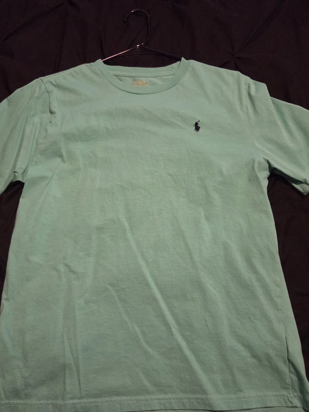 Boys Ralph Lauren Polo Lot Size 18-20 | 10 Shirts